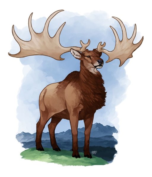 Ирландский Лось - большерогий олень