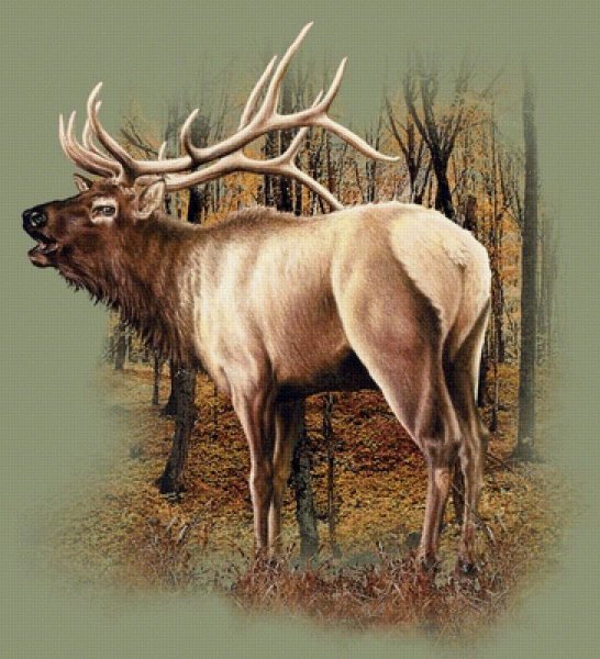 Живопись маралы лоси