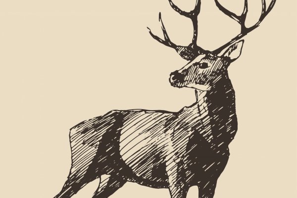 Олень Графика