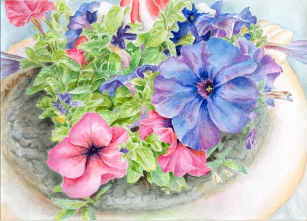 Петуния акварель