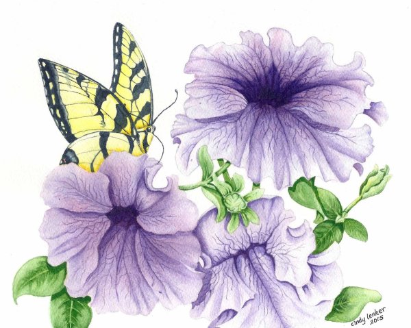 Петуния акварель