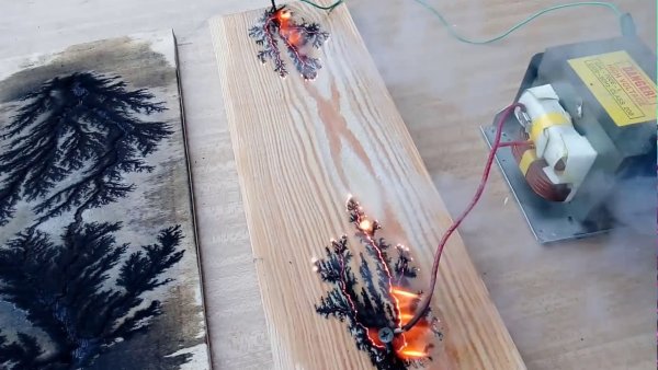 Картины по дереву по методу Лихтенберга