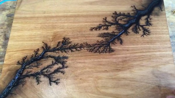 Фигуры Лихтенберга от удара молнии