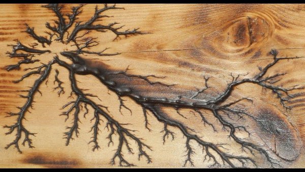 Фигуры Лихтенберга на дереве