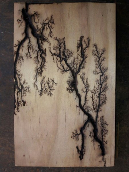 Лихтенберг молнии на дереве