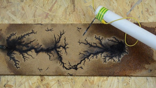 Спил дерева молнии Лихтенберга