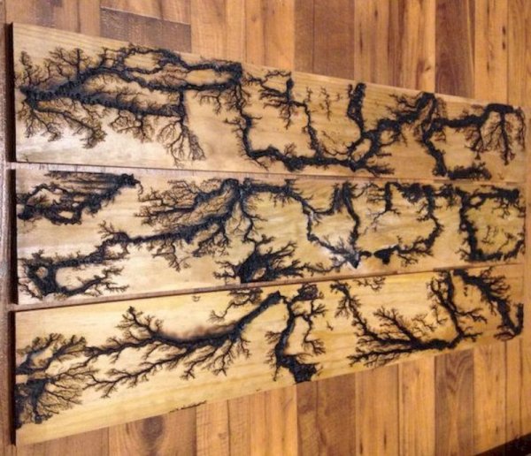 Молнии Лихтенберга на дереве