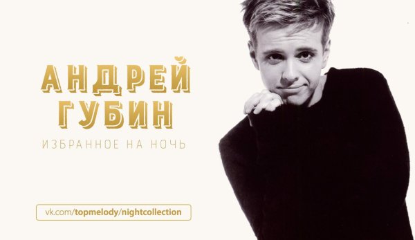 Андрей Губин Постер