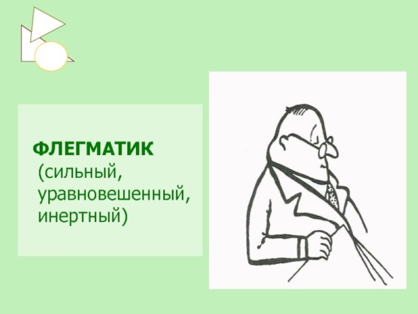 Флегматик сильный уравновешенный