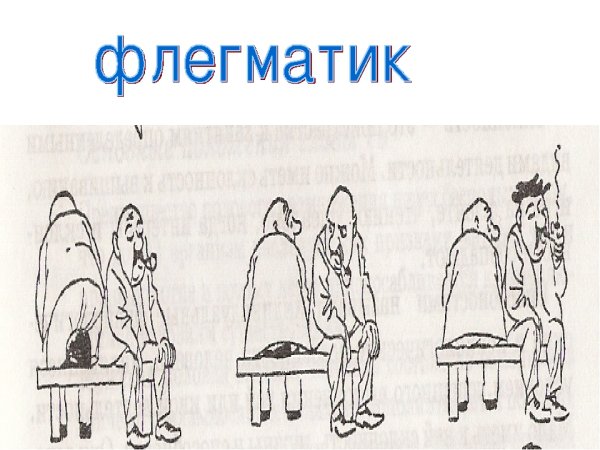 Профессии для флегматика