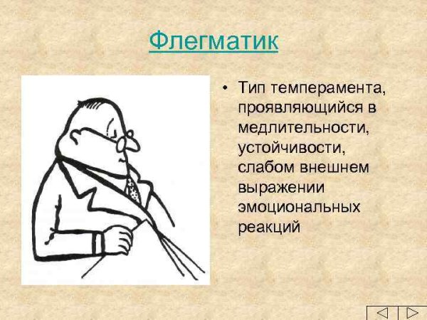 Темперамент флегматик
