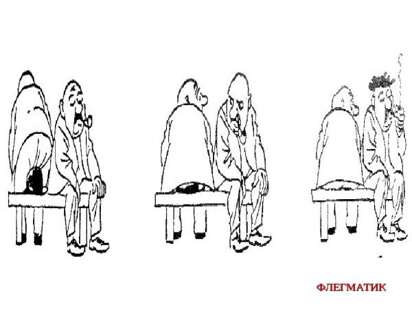 Флегматик картинки