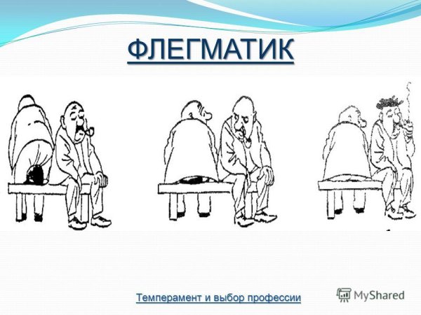 Флегматический темперамент