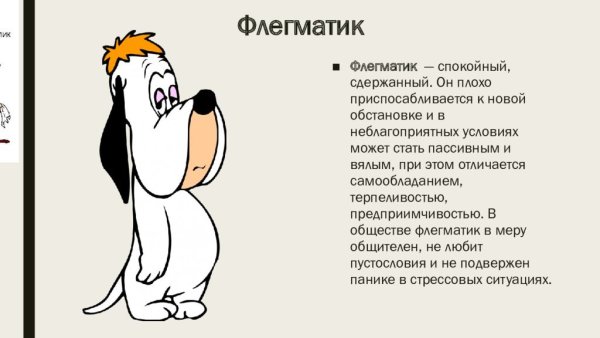 Темперамент флегматик