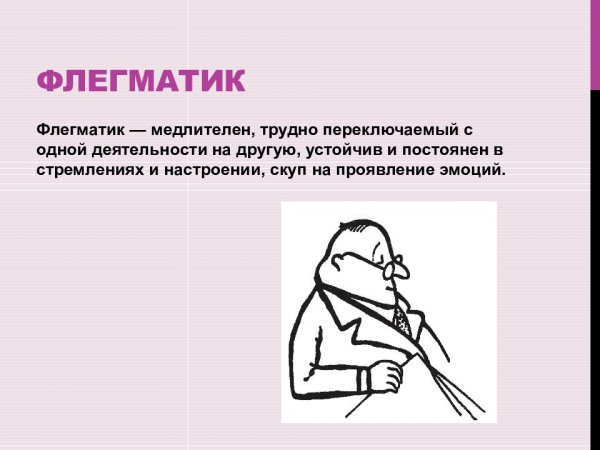 Темперамент флегматик