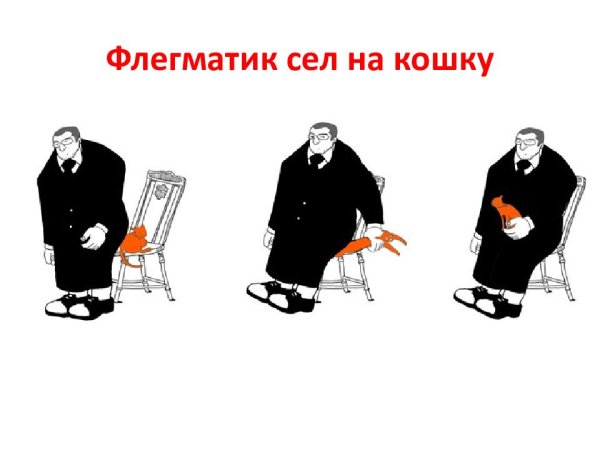 Типичный флегматик