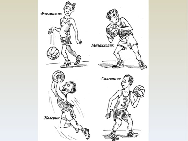 Флегматик меланхолик