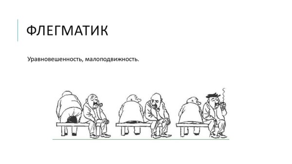 Флегматик картинки для презентации