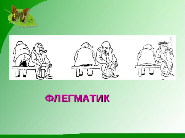 Типичный флегматик