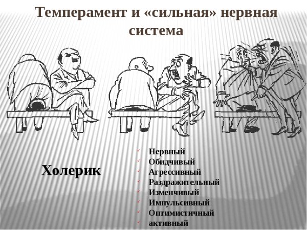 Темперамент холерик