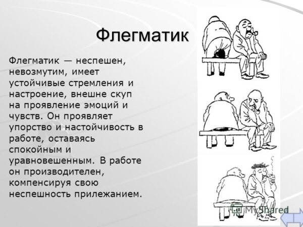 Флегматик описание темперамента