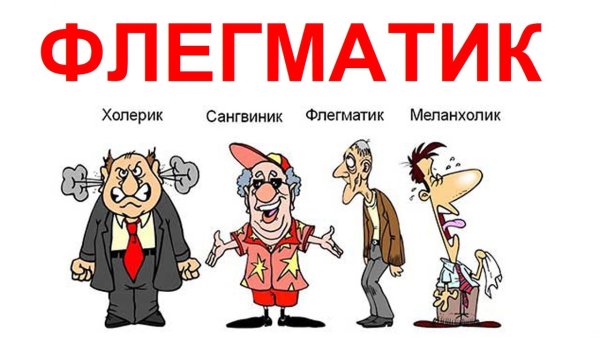 Флегматический темперамент
