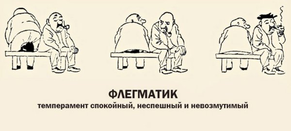 Флегматический Тип темперамента