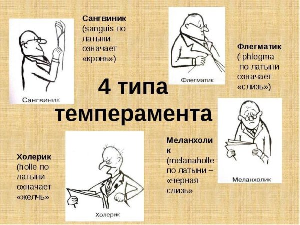 Типы личности в психологии холерик сангвиник
