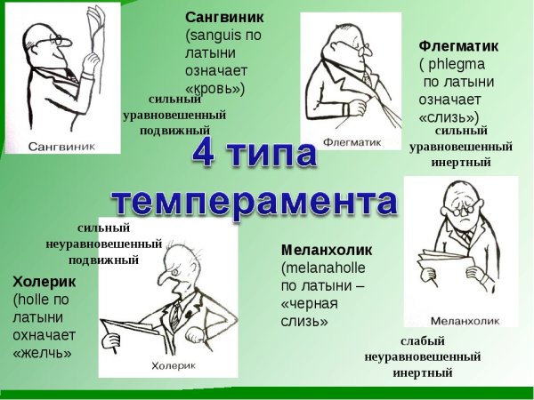 Типы личности флегматик сангвиник