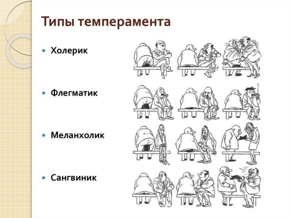 Бидструп холерик и флегматик