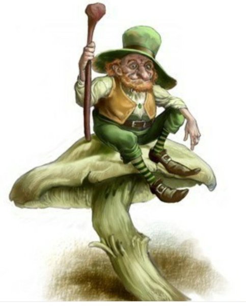 Ирландский репликон