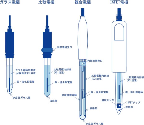 Термоэстезиометр физиология