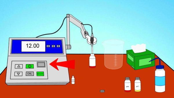 Исследование поверхностной чувствительности лабораторная