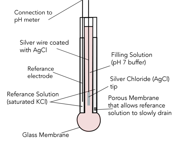 Electrochemical ethanol Cell