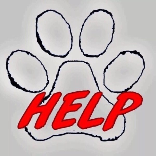 Щенкам нужна помощь