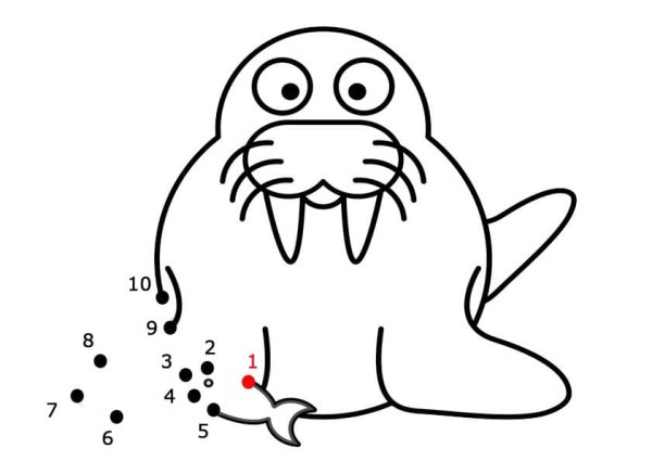 Моржи мультяшные