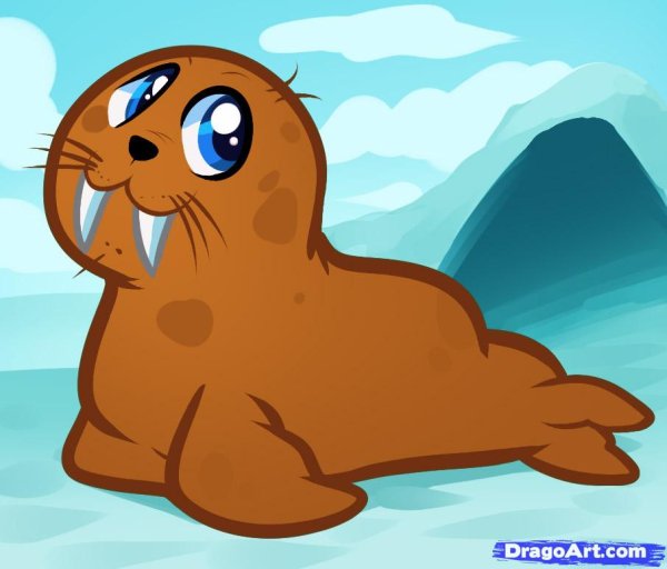 Няшный тюлень