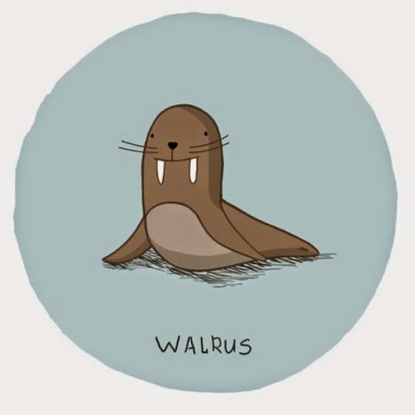 Раскраска Моржик для детей