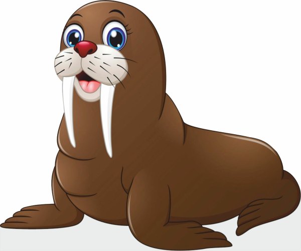 Рисование морж на льдине