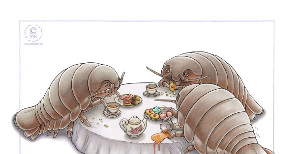 Гигантские изоподы арт