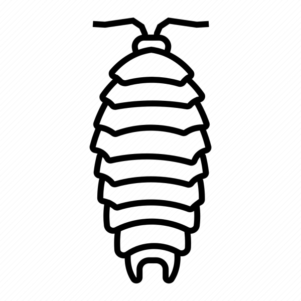 Мокрица иконка