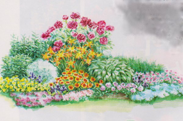 Клумба рисунок