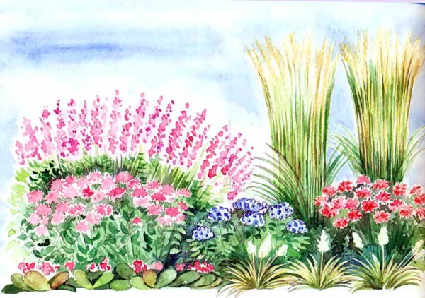 Рисование цветы на клумбе