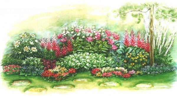 Клумба с цветами рисунок