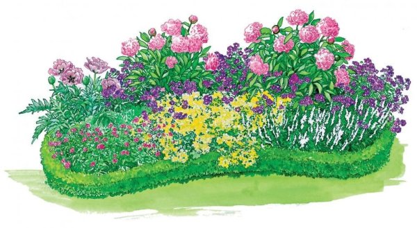 Цветочная клумба для детей