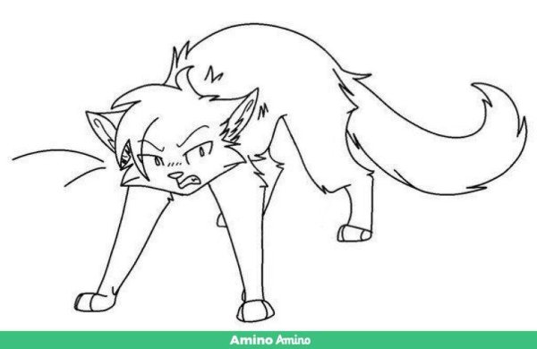 Коты Воители лайны злые