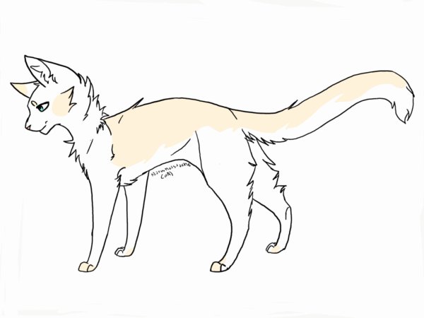 Коты Воители лайн в полный рост