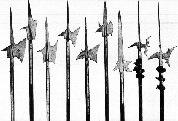 Древковое оружие алебарда