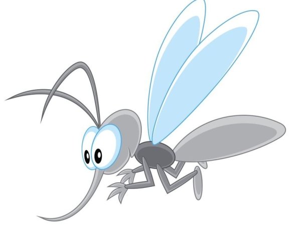 Смешной комар
