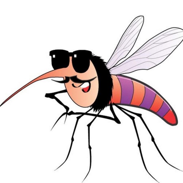 Комар на белом фоне